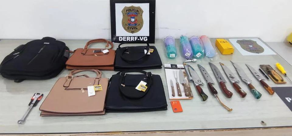 Polícia Civil prende mulher por vender produtos furtados de loja agropecuária em rede social