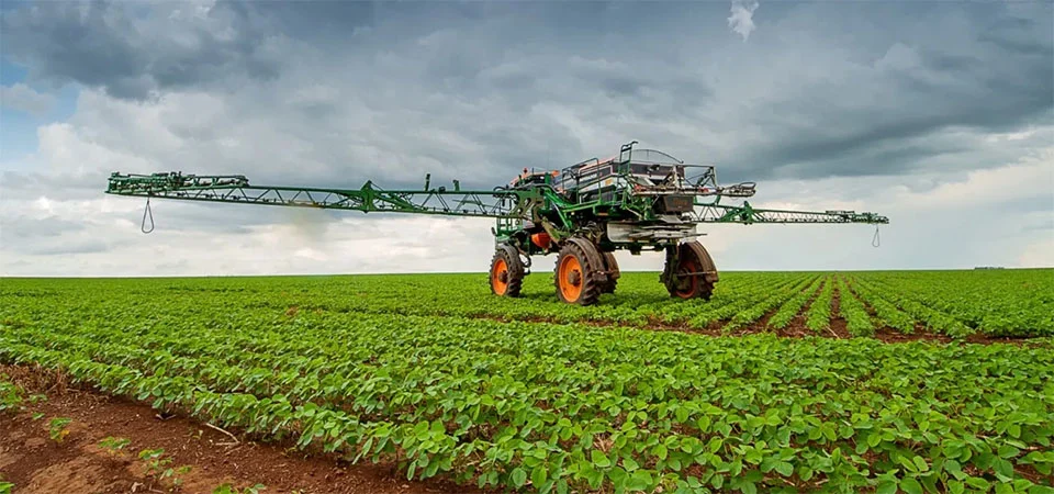 Papel das sementes de soja no agronegócio brasileiro