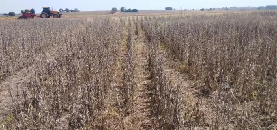 Seguro rural perdeu verba de quase R$ 130 milhões na reta final de 2024