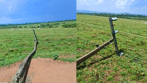 Temporais derrubam 464 postes em Mato Grosso em dez dias e deixam rede elétrica em alerta