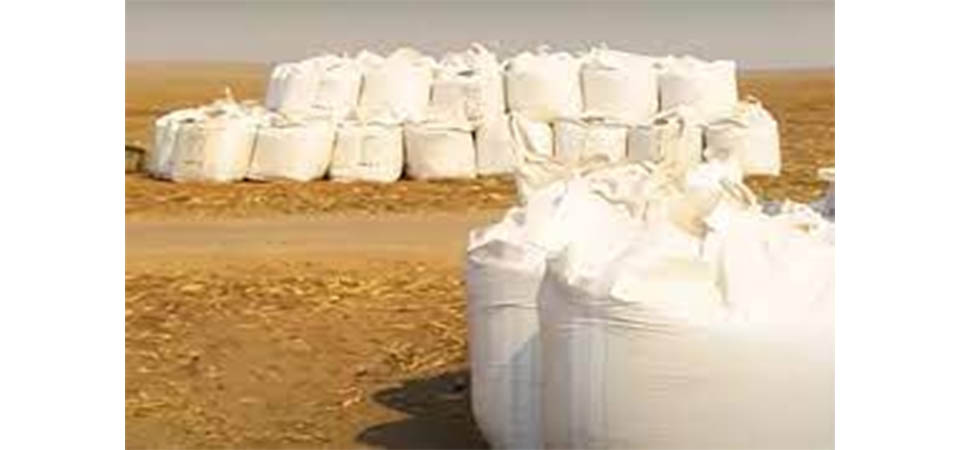 Incerteza sobre valor de comercialização da soja faz produtores frearem compra de fertilizantes