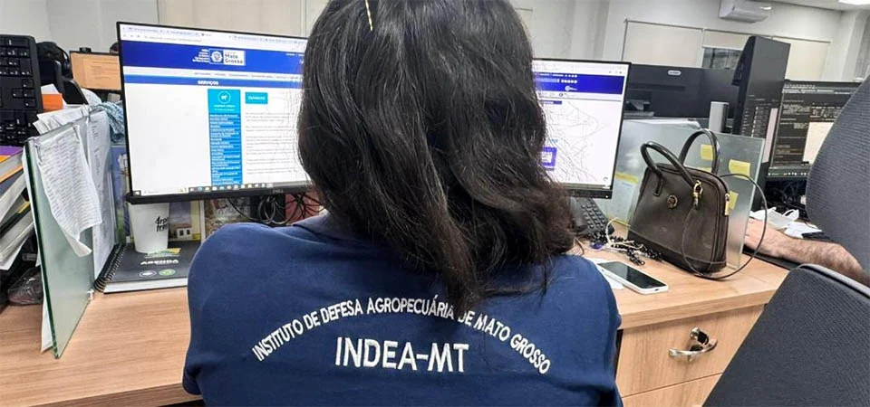 Campanha de Atualização de Estoque de Rebanhos começa dia 1º de novembro