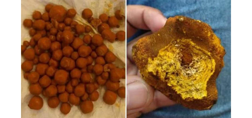 Parte mais valiosa do boi pode custar R$ 300 mil o quilo; Saiba qual é.