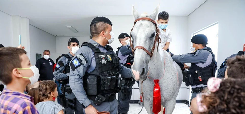 Cavalaria da PM registra mais de 3,5 mil atendimentos em projeto de equoterapia