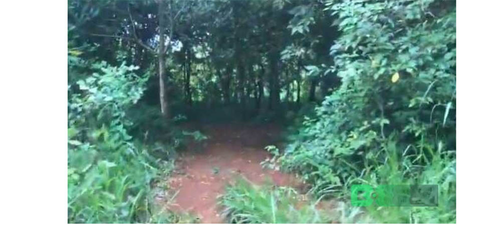 Bandido de 17 anos mata adolescente a facadas e enterra em matagal