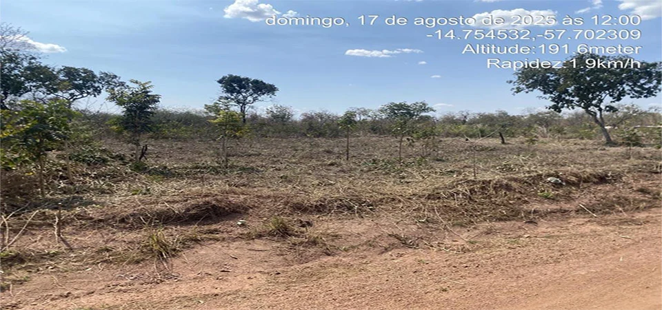 Polícia Militar prende cinco pessoas por desmatamento ilegal em área de reserva ambiental