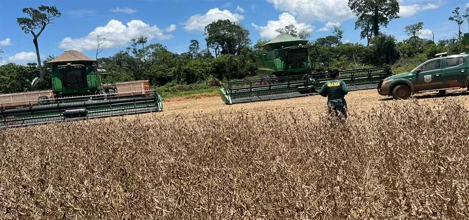 Máquinas agrícolas e mais de 72 mil kg de soja são apreendidos em operação contra desmatamento ilegal