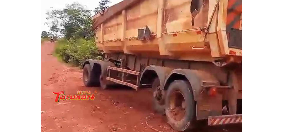 Carga de pneus avaliada em R$ 150 mil é recuperada pela Polícia Civil