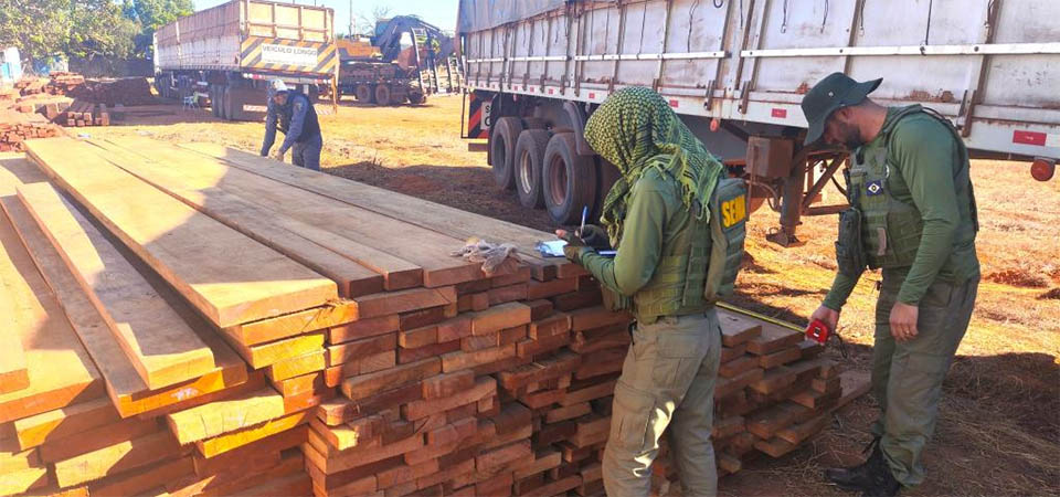 Sema e Policia Militar apreendem carretas com castanheiras durante fiscalização