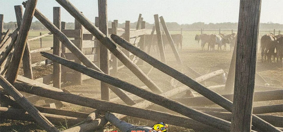 Trabalhador morre após queda de curral durante embarque de gado