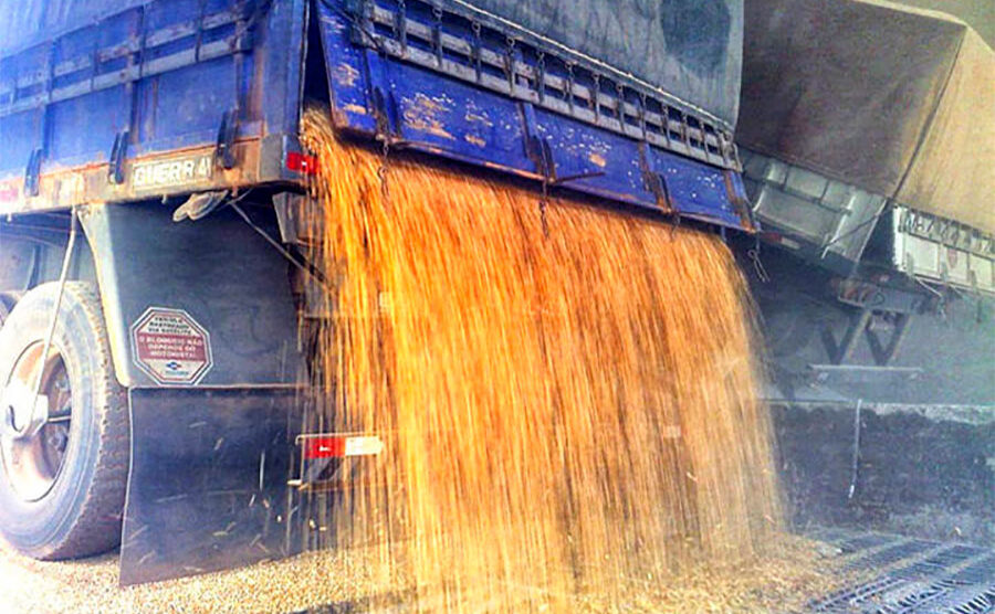 Valor do frete de grãos no transporte rodoviário em Mato Grosso tem grande alta