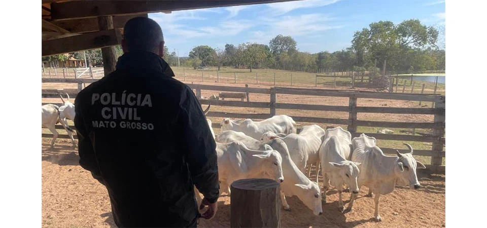 Polícia Civil deflagra operação para apurar roubo de 90 cabeças de gado em fazenda