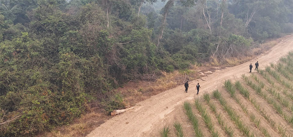 Polícia Civil localiza corpo de jovem desaparecido e prende quatro por homicídio e ocultação de cadáver