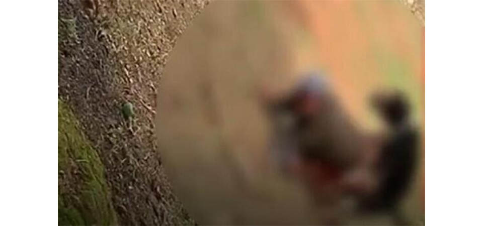 Morador de rua é flagrado estuprando cachorro