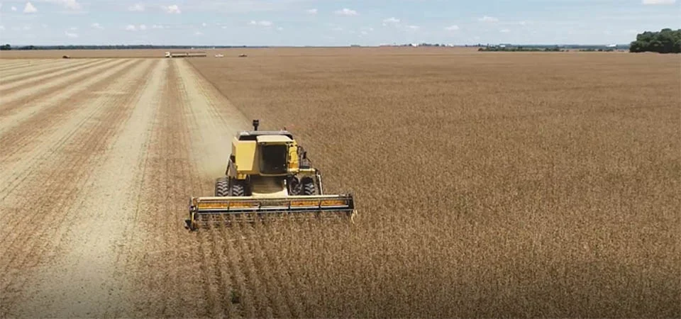 MT supera 51% de área colhida e puxa avanço da soja no Brasil, aponta Imea