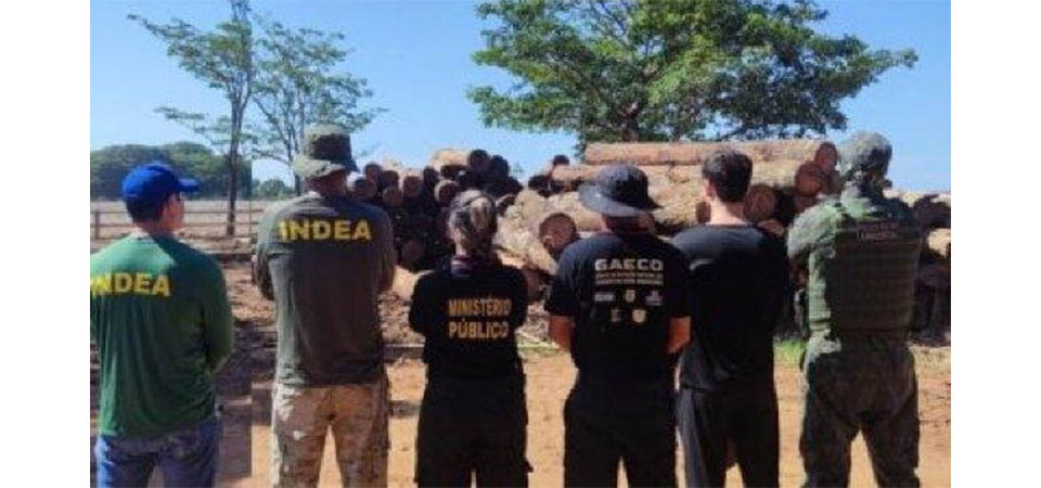 Por esquema de R$ 67 mi, Gaeco faz batida em 7 fazendas e confisca madeira