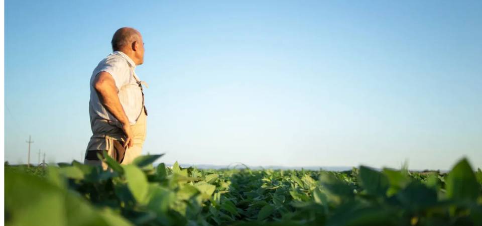 Recordes de produção escondem crise financeira entre produtores rurais