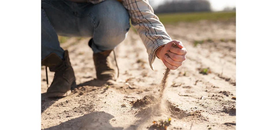 INCRA é condenado a dar posse de lote a casal de agricultores