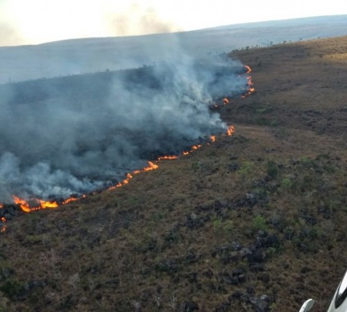 Área de parque de MT destruída por fogo equivale a 5 mil estádios do Maracanã, dizem bombeiros