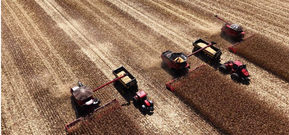 Incra aponta terras em Itanhangá, Sinop, Sorriso e mais 14 entre as com maior valorização