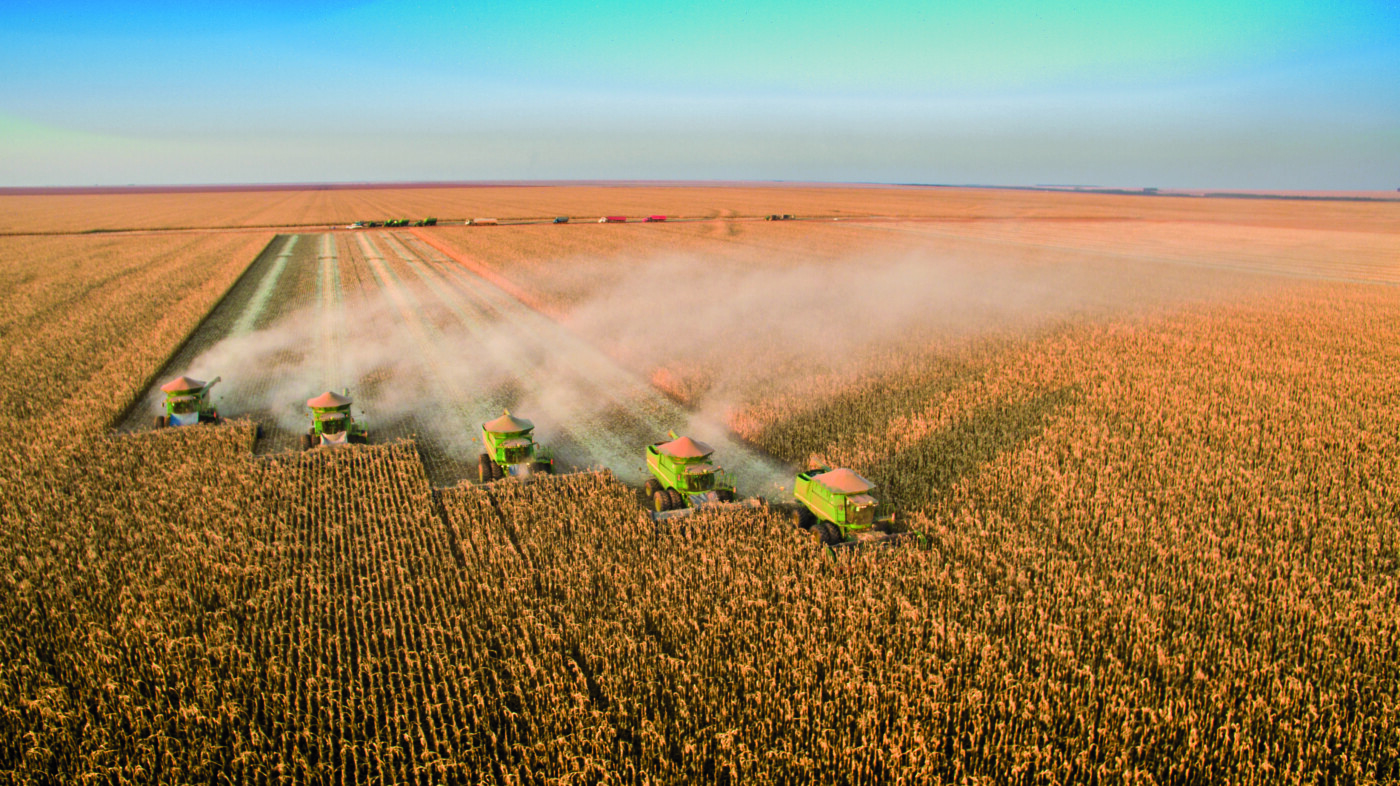 Boletim de Monitoramento Agrícola destaca condições favoráveis para a safra na maior parte do Brasil