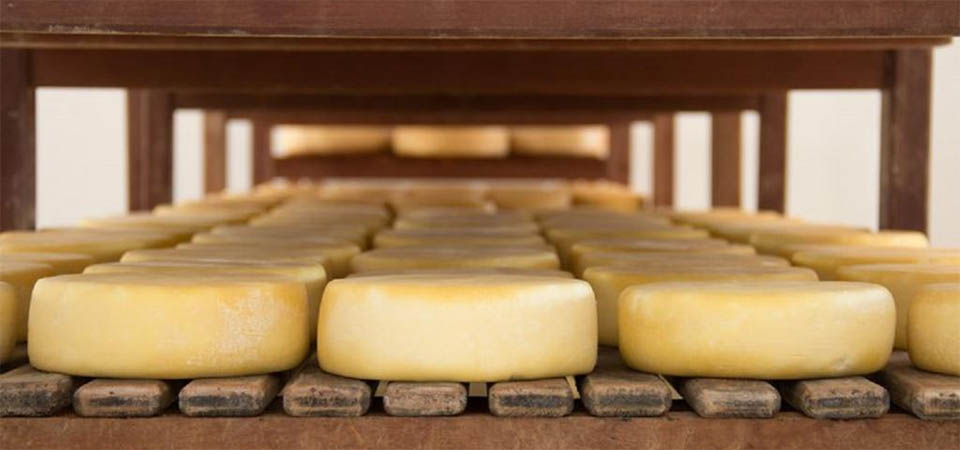 Cattani recebe produtores mato-grossenses premiados no 3° Mundial do Queijo