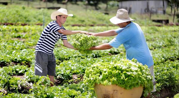 Pequenos produtores ganham maior margem para fechar contratos de financiamento