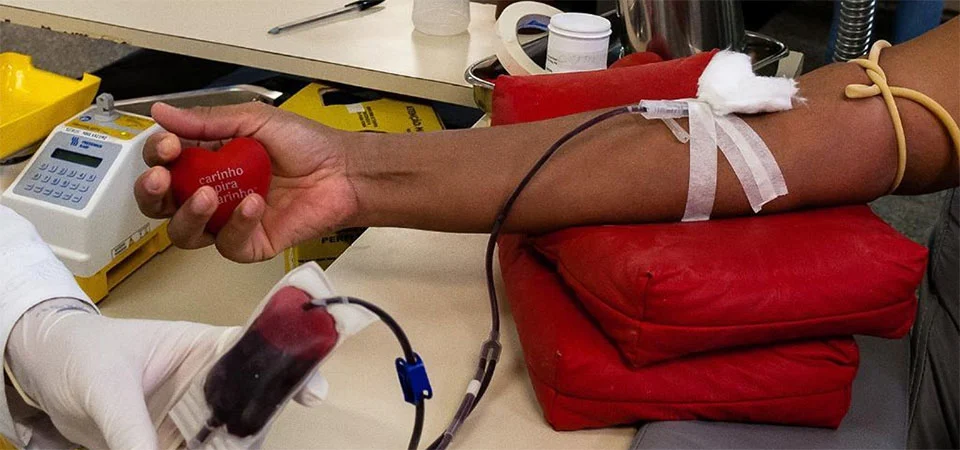 Mato Grosso tem 70.271 cadastrados para doar medula óssea; veja como se inscrever