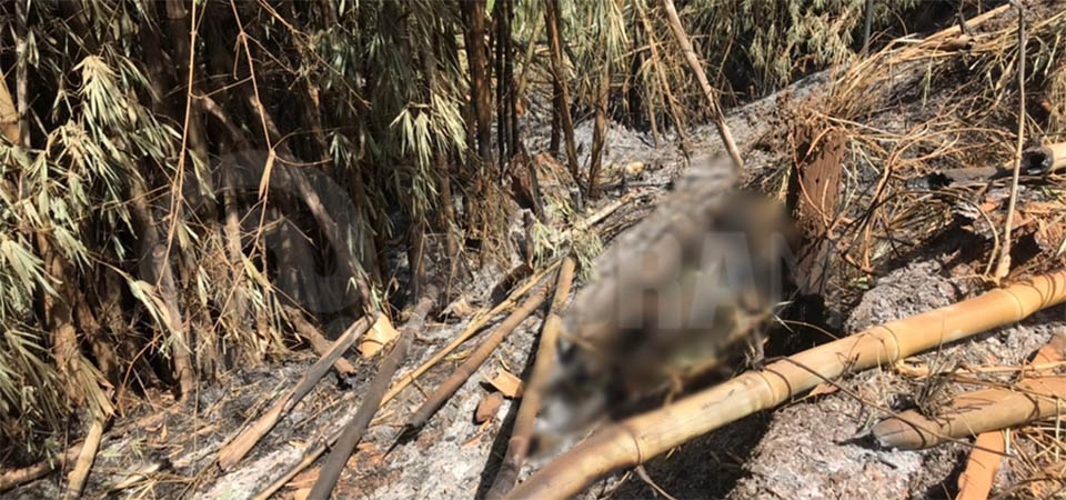 Morre homem que teve 40% do corpo queimado pela mulher após discussão