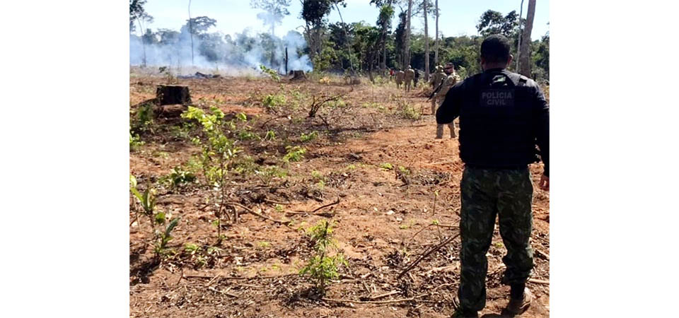 Polícia Civil já prendeu 16 pessoas por fazerem queimadas em florestas em MT