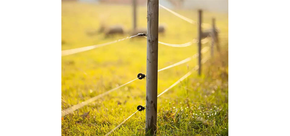 Jovem morre eletrocutado enquanto trabalhava em fazenda