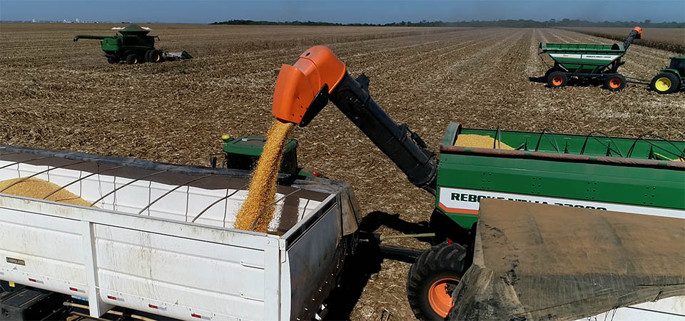 Saiba quais são as consequências para o agro com a reforma tributária