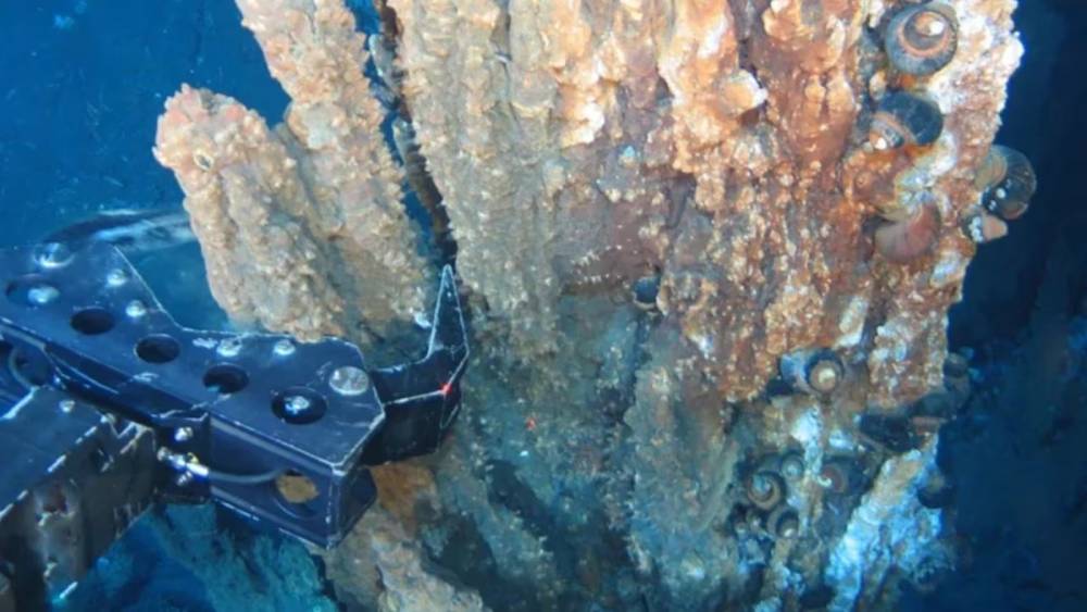 O que se sabe sobre a descoberta da ‘maior concentração de ouro do mundo’ feita no fundo do mar