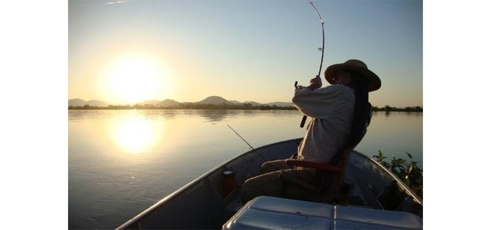 Governo de MT flexibiliza lei e libera pesca de mais de 100 espécies