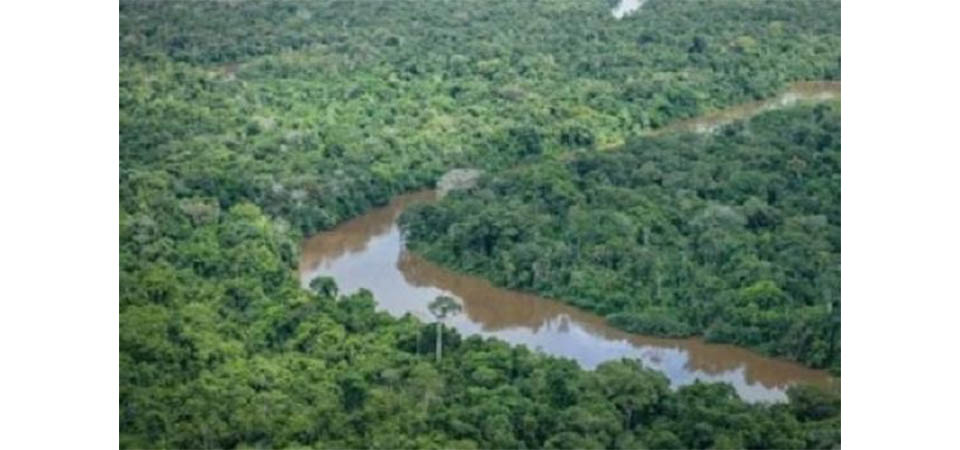 Grupo exige R$ 82 mi de indenização por área que virou terra indígena em Aripuanã