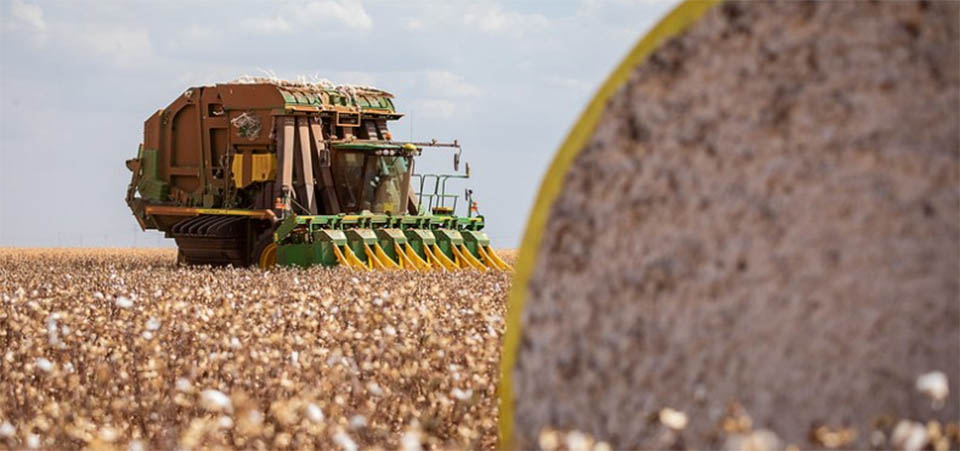 Tapurah: Trabalhador rural morre em hospital após acidente grave com colheitadeira em algodoeira