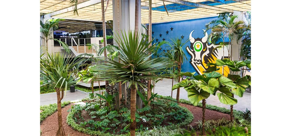 Governo de Mato Grosso divulga feriados e pontos facultativos de 2025