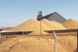 Falta de espaço em armazéns de Mato Grosso segue influenciando na comercialização da soja