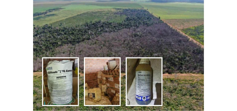 Liminar decreta bloqueio de R$ 5 milhões de fazendeiros por desmate químico