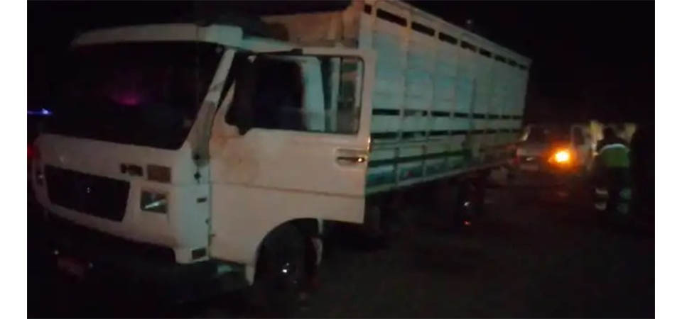 Operação flagra gado roubado em fazenda e prende receptador