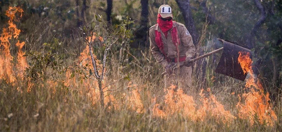 Acrimat contesta notificação do IBAMA e cobra apoio para controle de incêndios em propriedades rurais de Mato Grosso