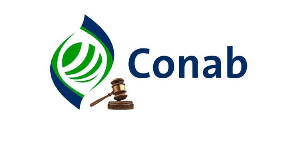 Conab lança portal com acesso rápido e prático a informações de comercialização