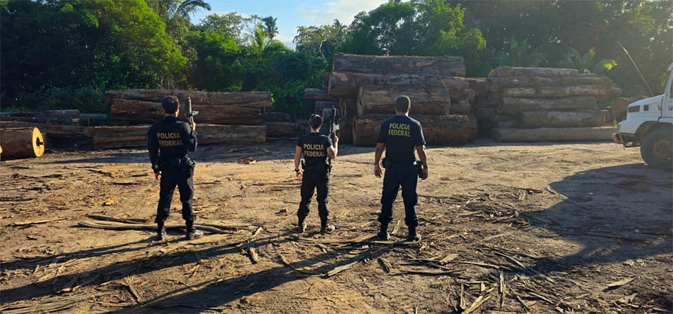 PF faz operação contra desmatamento em Mato Grosso e sequestra R$ 1,2 milhão