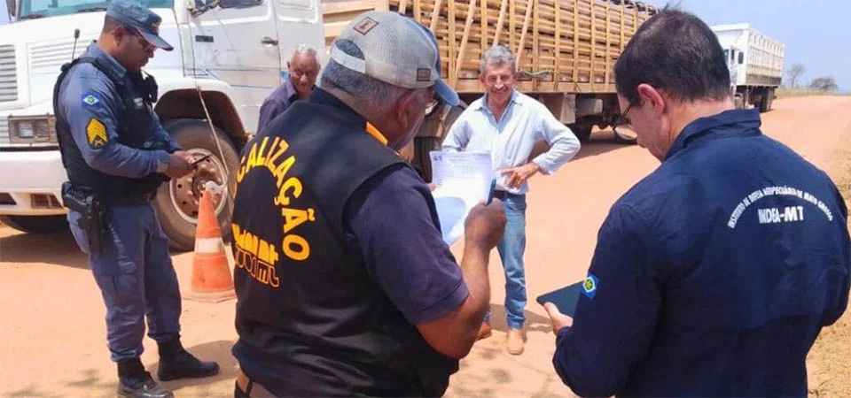 Decreto altera prazo, unifica ritos e propõe descontos em pagamentos de autos de infrações aplicados pelo Indea