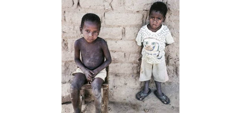 ONG pede doação de R$ 3 para adquirir ‘vaca mecânica’