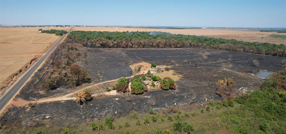 Itanhangá: Fogo que causou grandes prejuízos ainda continua em mata