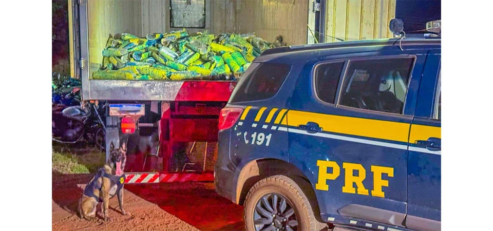 PRF localiza mais de uma tonelada de “supermaconha” em Mato Grosso; maior apreensão do ano