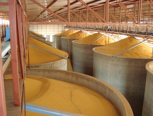 Safra recorde esbarra na falta de armazenagem e força busca por eficiência