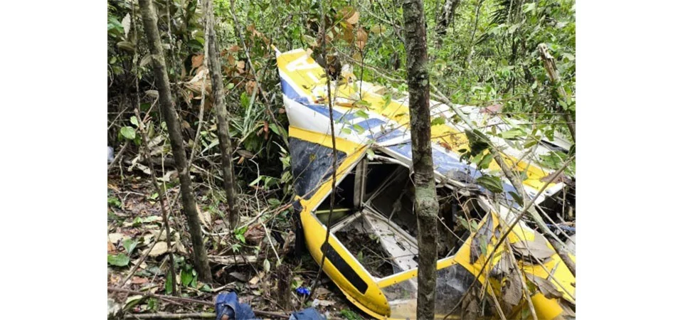 Piloto é resgatado com vida após avião cair em mata