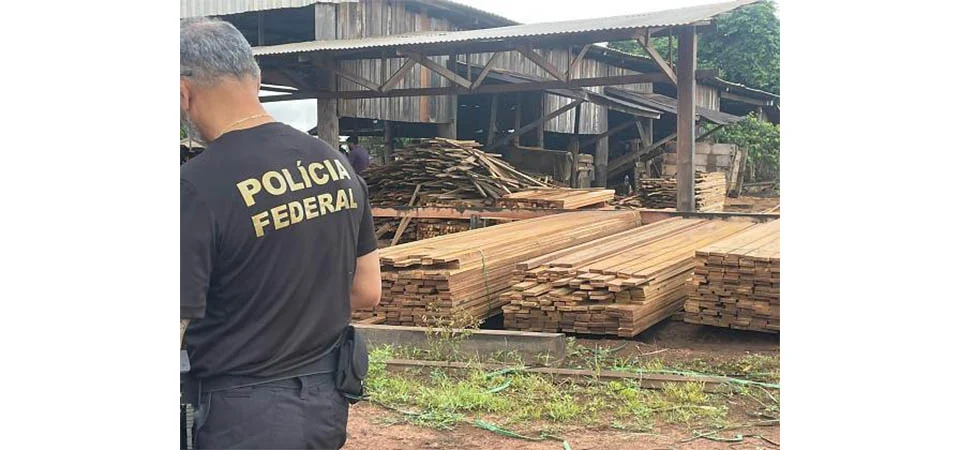 Caça à onça e desmatamento: PF faz megaoperação em Mato Grosso e prende bando